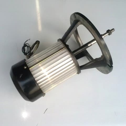 DRYER MOTOR 10133